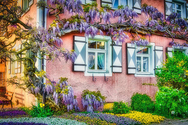 Spring in Germany - guest house in Nonnenhorn