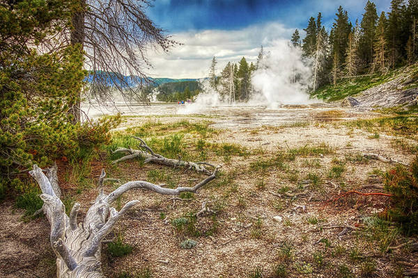 Hot springs and geysers landscape in Yellowstone