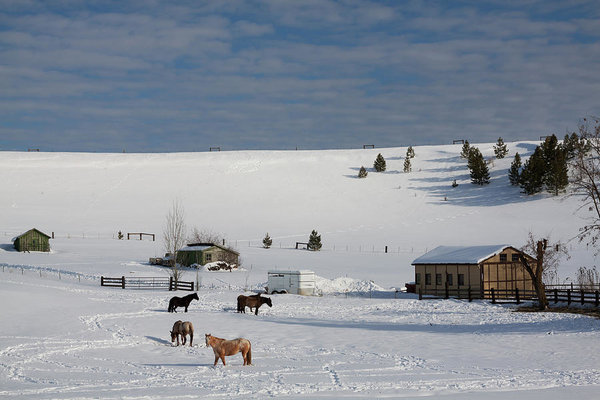 Winter Farm in Montana