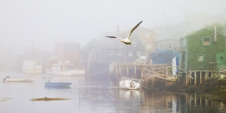 West Dover Nova Scotia fog